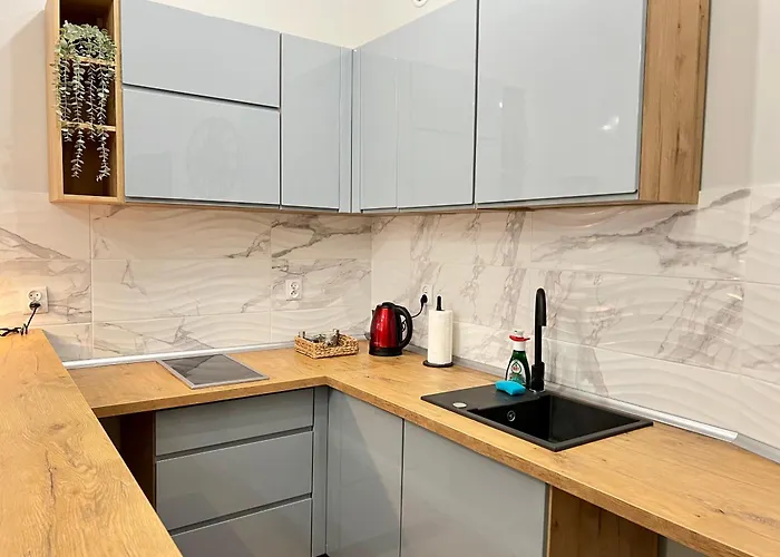 Lejlighed Na Ksiezym Mlynie I *